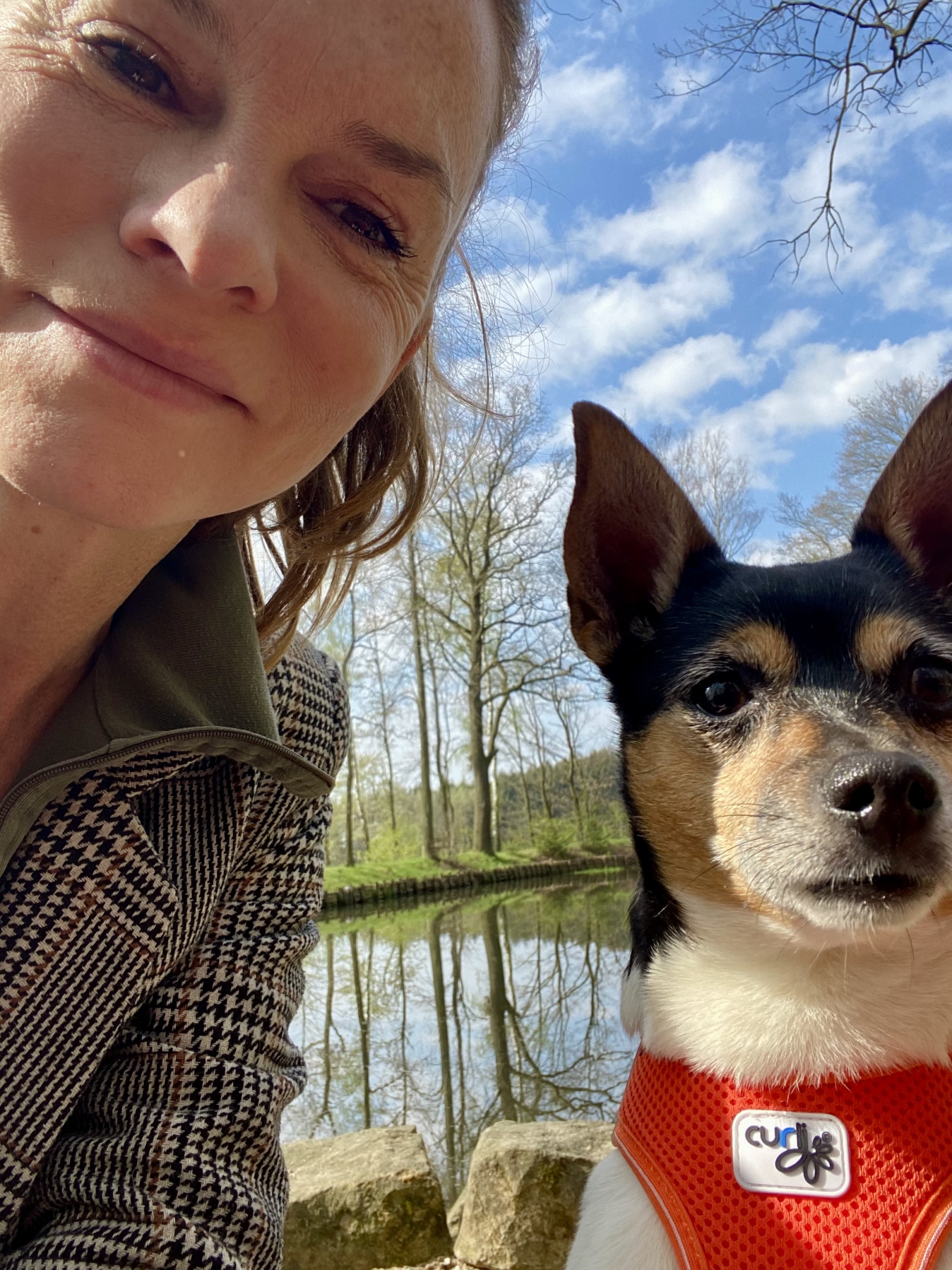 Ernährungsberatung Hund - Berlin & Online