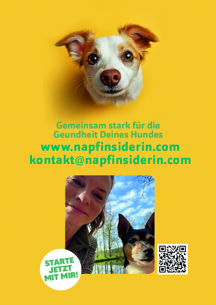 Ernährungsberatung Hund - Berlin & Online